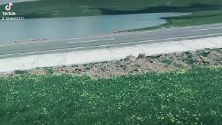 Erzurum Şenkaya Yaylası