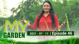 My Garden | Episode 46 | 11 - 07 - 2021