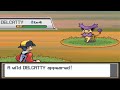 randomizer