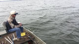 Catfish Jigging In Deep Water