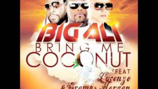 Video Coconut Rum (feat. Lucenzo & Gramps Morgan) Big Ali