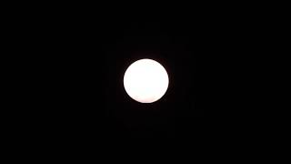 Nikon P600 Moon Shot