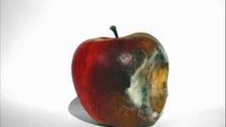Rotting Apple (Mould)