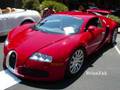 Exotic Car Show at Auto Affair - Veyron CGT SLR LP640 599 +