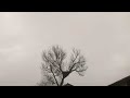 Piorun Uderza W Gniazdo Bociana Lightning Strikes Stork S Nest Piorun Uderza W Gniazdo Bociana Lightning Strikes Stork S Nest