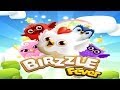 Birzzle Fever