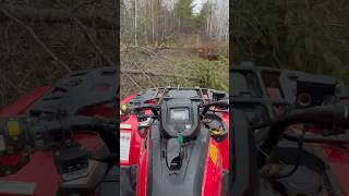 Day Of Bush Work
