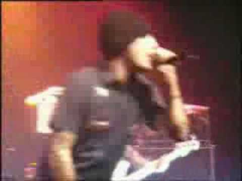 Madhouse Video