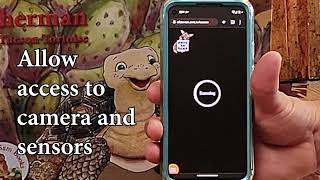 How to launch your magic portal!
