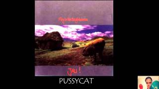 Watch Fury In The Slaughterhouse Pussycat video