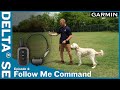 Ep. 4 Follow Me Command – Delta® SE handheld & dog collar