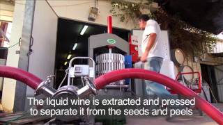 Desert Winemaking at Desert Domain Carmey Avdat