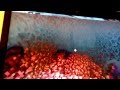 Como fazer um fazer um portal para o inferno
