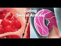 Short track-Do you know what happens During sexual arousal inside the body? what is the clitoris?