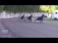 Harness Pony Racing On New Years Day, January 1 2015