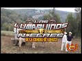 Los Lumaquinos Alegres - mix homenaje rene inostroza