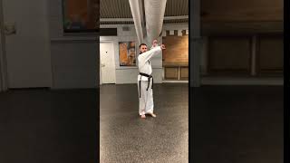 9Th Kup L Stance, Middle Block
