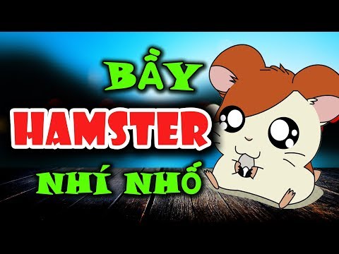 Shop Nobipet - cửa hàng mua bán chuột Hamster giá rẻ tại Đà Nẵng, TPHCM & Hà Nội