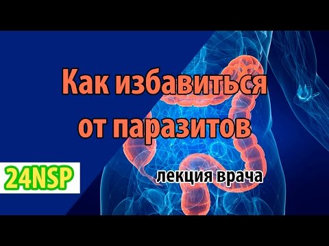 Как избавиться от паразитов в домашних условиях народными средствами Как избавиться от паразитов в домашних условиях народными средствами