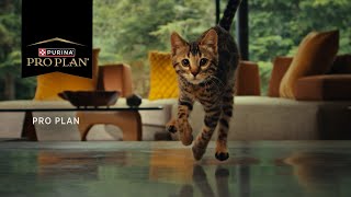 Purina Pro Plan Fuel For Life - Cat
