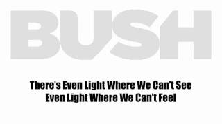 Watch Bush Red Light video