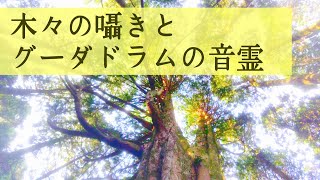 木々の囁きとグーダドラムの音霊