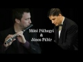Flute and Organ Improvisation