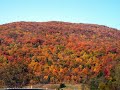 Autumn in Tennessee - Autumn & Fall ecards - Seasons Greeting Cards Autumn in Tennessee - Autumn & Fall ecards - Seasons Greeting Cards