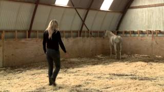 Mia Lykke Nielsen trains small problem pony. When Horses Choose. Mia Lykke Nielsen.