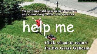 Watching Grass Grow for 100 Minutes to Celebrate 100 Subscribers