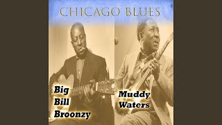 Watch Muddy Waters Walking Blues video