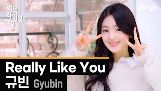 [세로라이브] 규빈(Gyubin) – Really Like Youㅣ딩고뮤직ㅣDingo Music