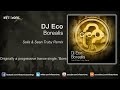 Dj Eco - Borealis (Solis & Sean Truby Remix) [As supported by Armin!]