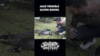 Alex Terrible Slaughter To Prevail Is The Gator Whisperer..i Mean Growler #Alexterrible