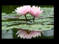 Ranker Video