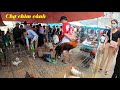 Chợ chim cảnh rẻ đẹp động vật hoang dã - Birds Market