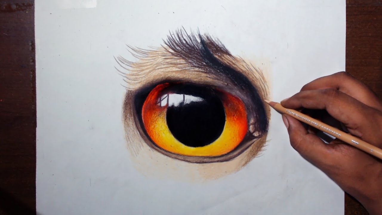 Drawing An Owl Eye - Prismacolor Pencils - YouTube