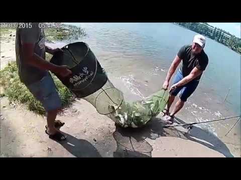 ловля пеленгаса на дону на креветку с лодки ловля пеленгаса на дону на креветку с лодки