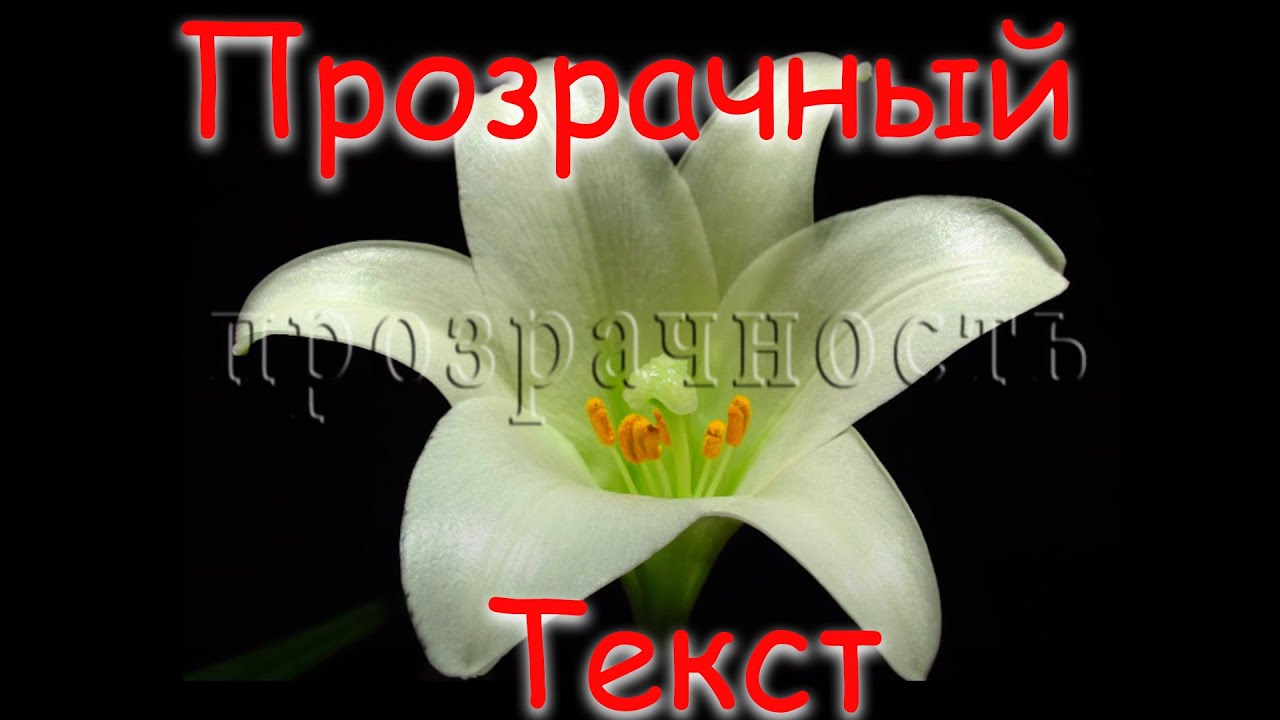 Как сделать в фотошоп прозрачный текст Как сделать в фотошоп прозрачный текст