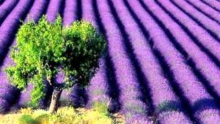 Watch Jackie Lomax Lavender Dream video