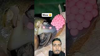 Jhinuk