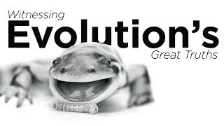 Witnessing Evolution's Great Truths
