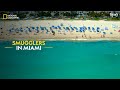 Smugglers in Miami | Trafficked with Marianne Van Zeller | Full Episode | S01-E06 | हिन्दी