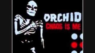 Watch Orchid Aesthetic Dialectic video