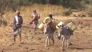 PCN Kenya