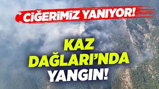 Ciğerimiz Yanıyor Kaz Dağlarında Yangın Krt Haber