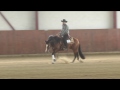 LENDI GENNARO-IC STRONG N BUENO-Novice Horse Open