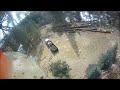 image Tarzan Jane And Ir Offspring Speedlining A Big Limby Pine