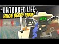 HUGE BERRY FARM - Unturned Life Roleplay #213