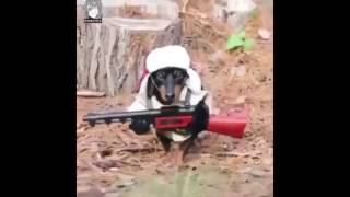 Dank Meme Compilation May 2017 Wyoming Special